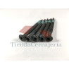 Tornillos extractor 4,8mm (Precio por unidad)